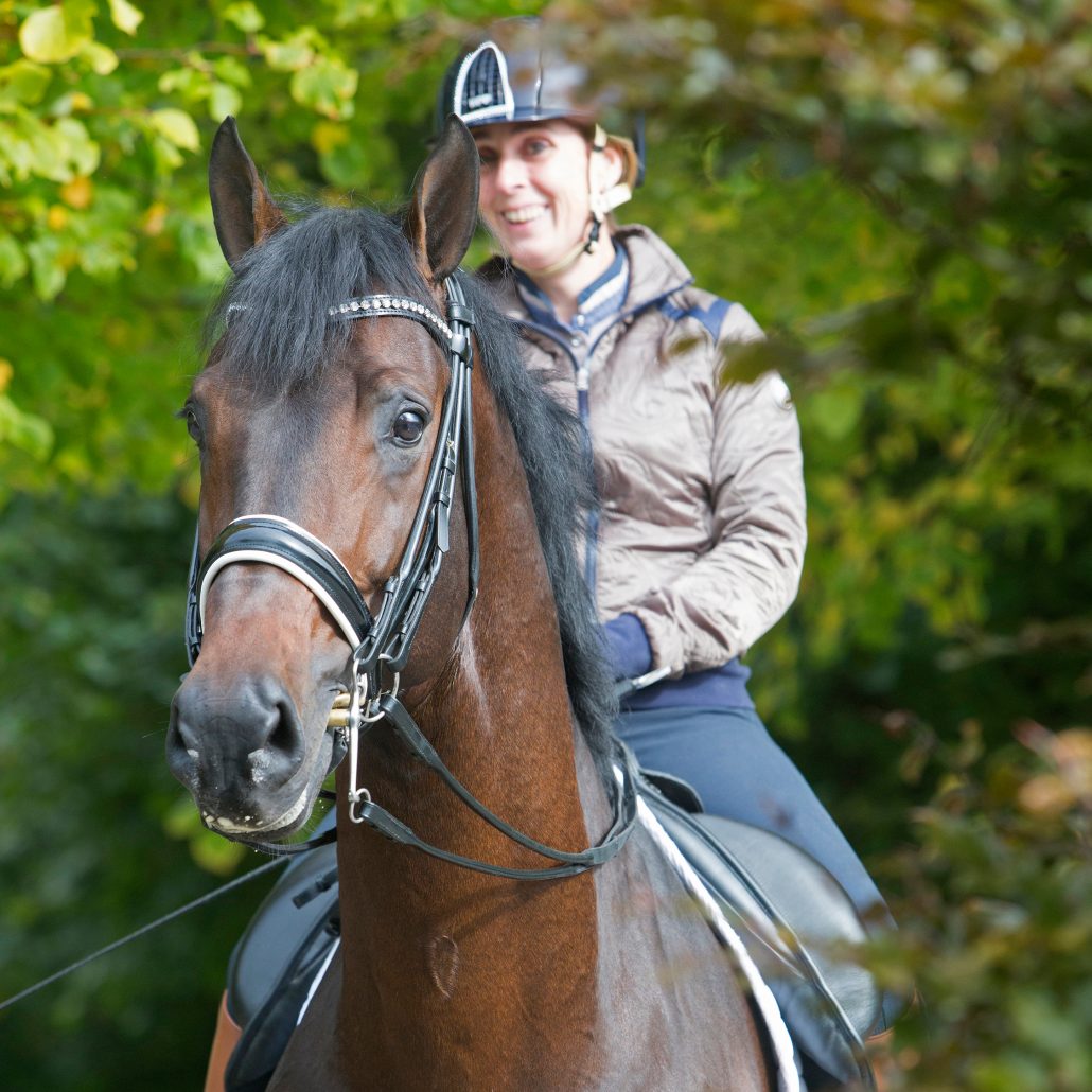 Stoeterij de Hoeve