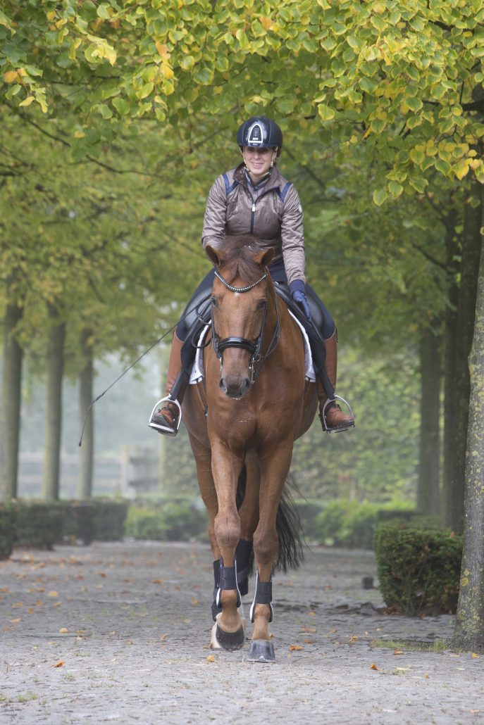 Stoeterij de Hoeve